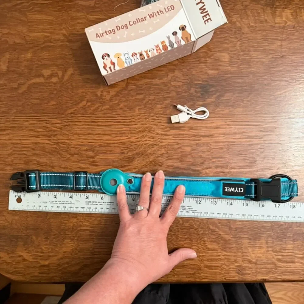 CIYWEE LED Light Up AirTag Dog Collar Teal Medium NIB USB Rechargeable